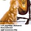 நந்தன்